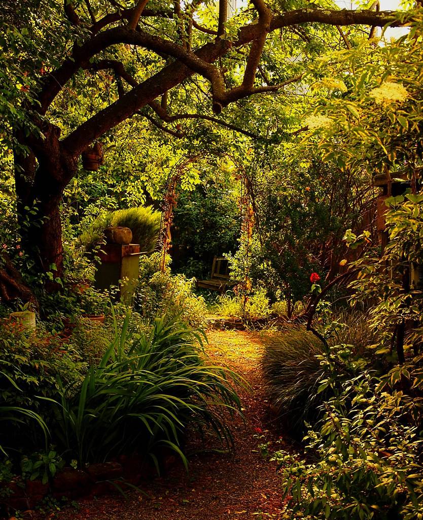 Enchanting Fairy Gardens