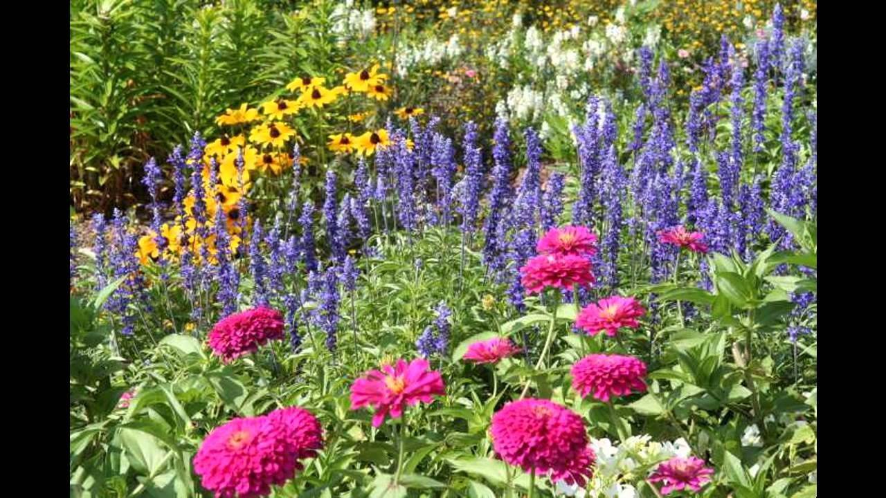 House Google Search Perennial Garden Design