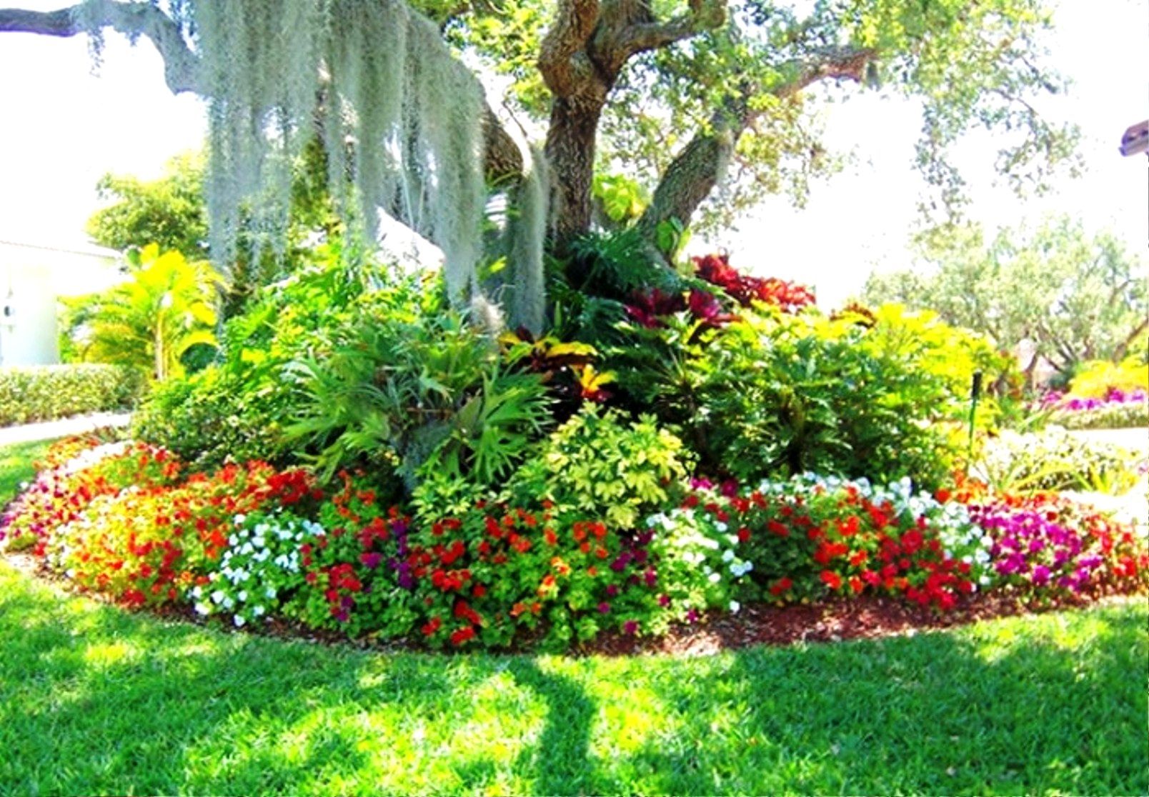 Tropical Flower Garden Design Ideas