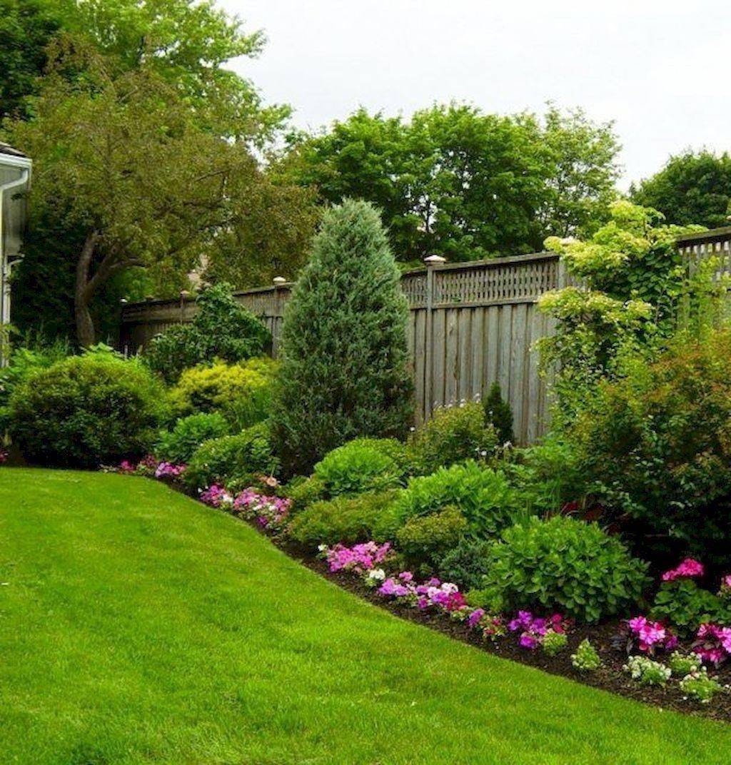 Low Maintenance Gardens