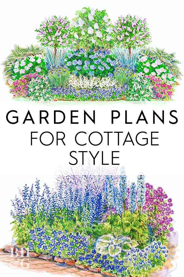 Cottage Garden