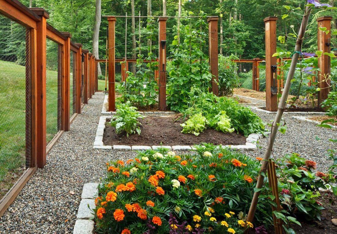 Growing A Vegetable Garden