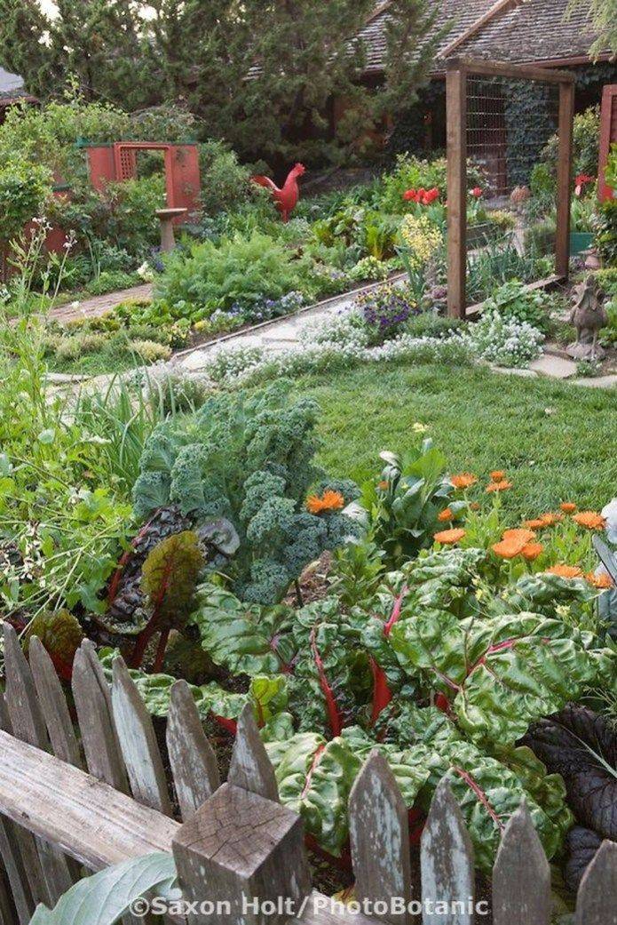 21 Vegetable Garden Borders Ideas To Consider SharonSable