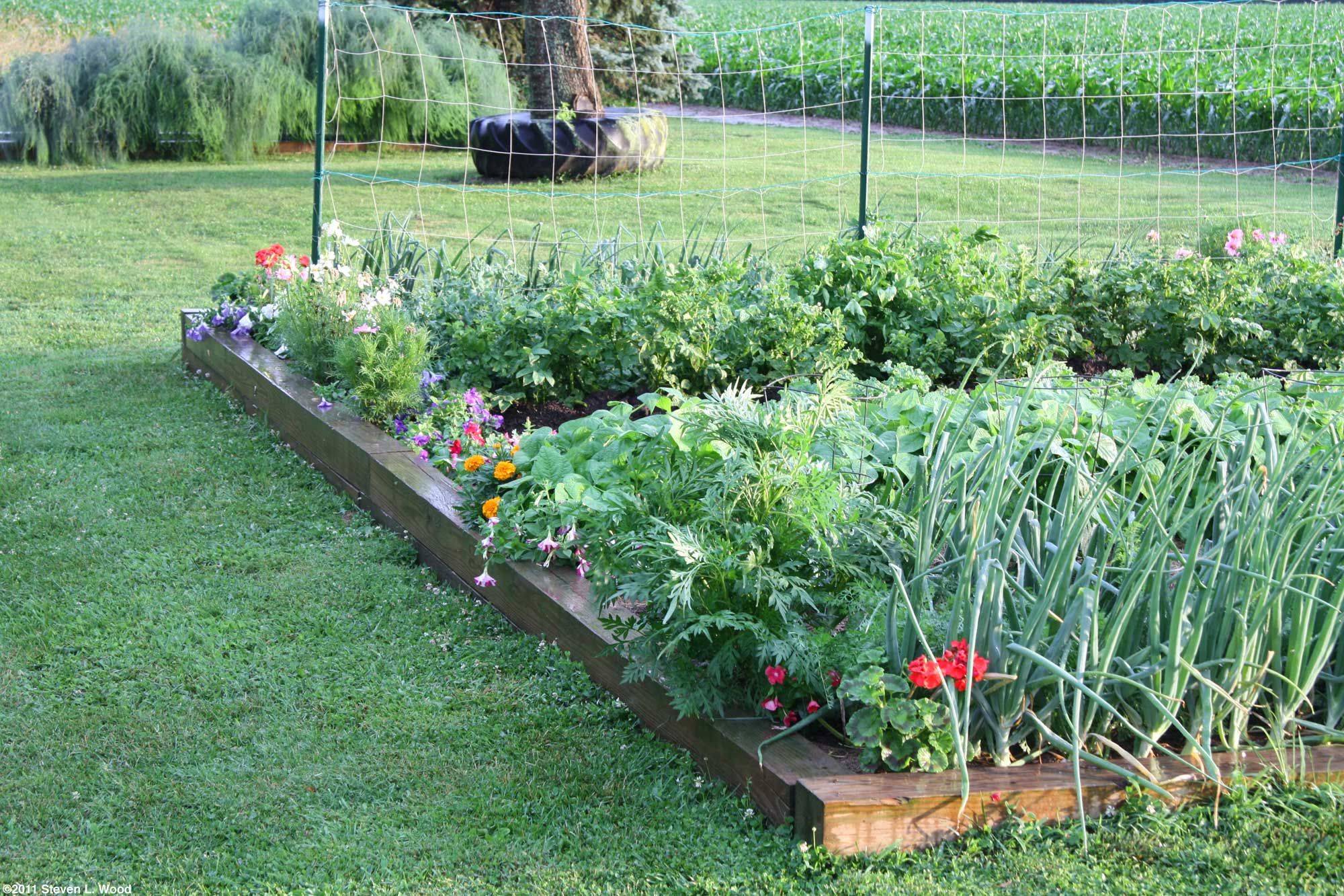 21 Vegetable Garden Borders Ideas To Consider SharonSable