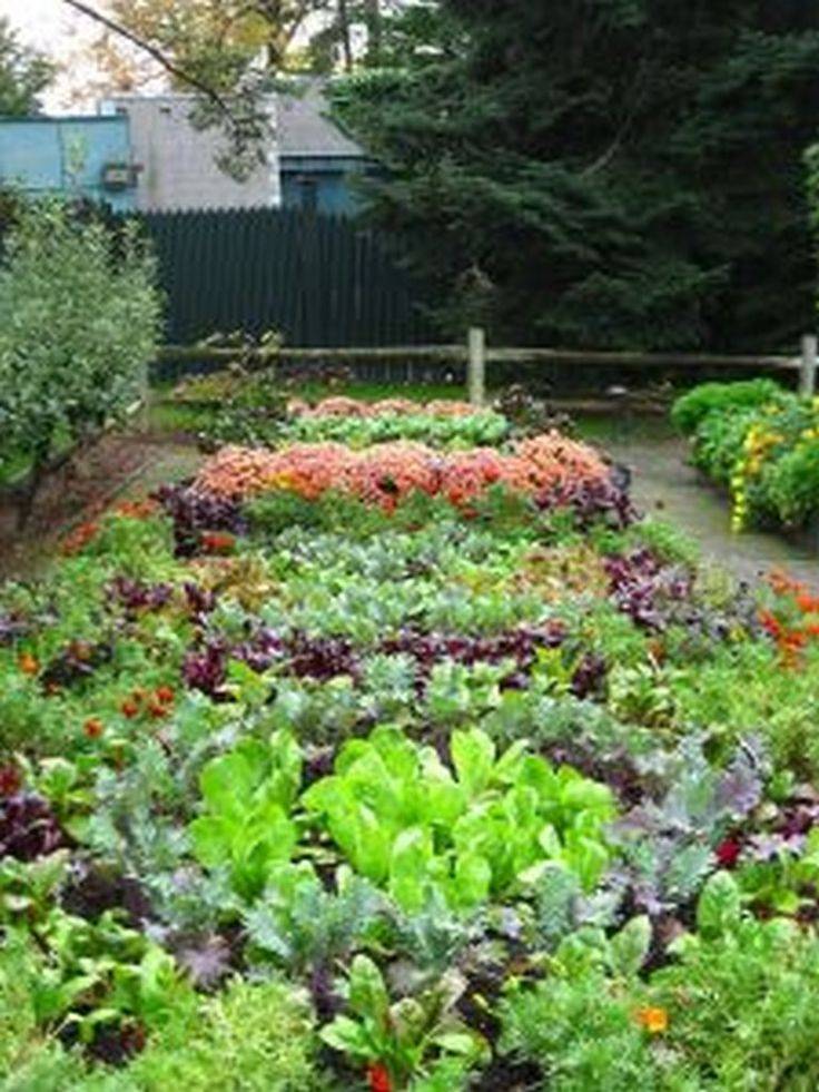 Garden Bed Border