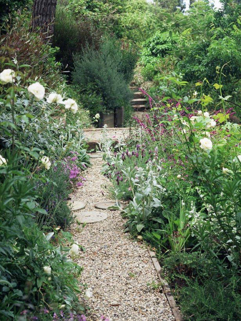 17 Medicinal Herbs Garden Ideas Worth a Look SharonSable