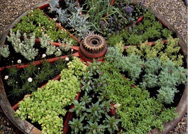 Pie Garden Herb Garden Design
