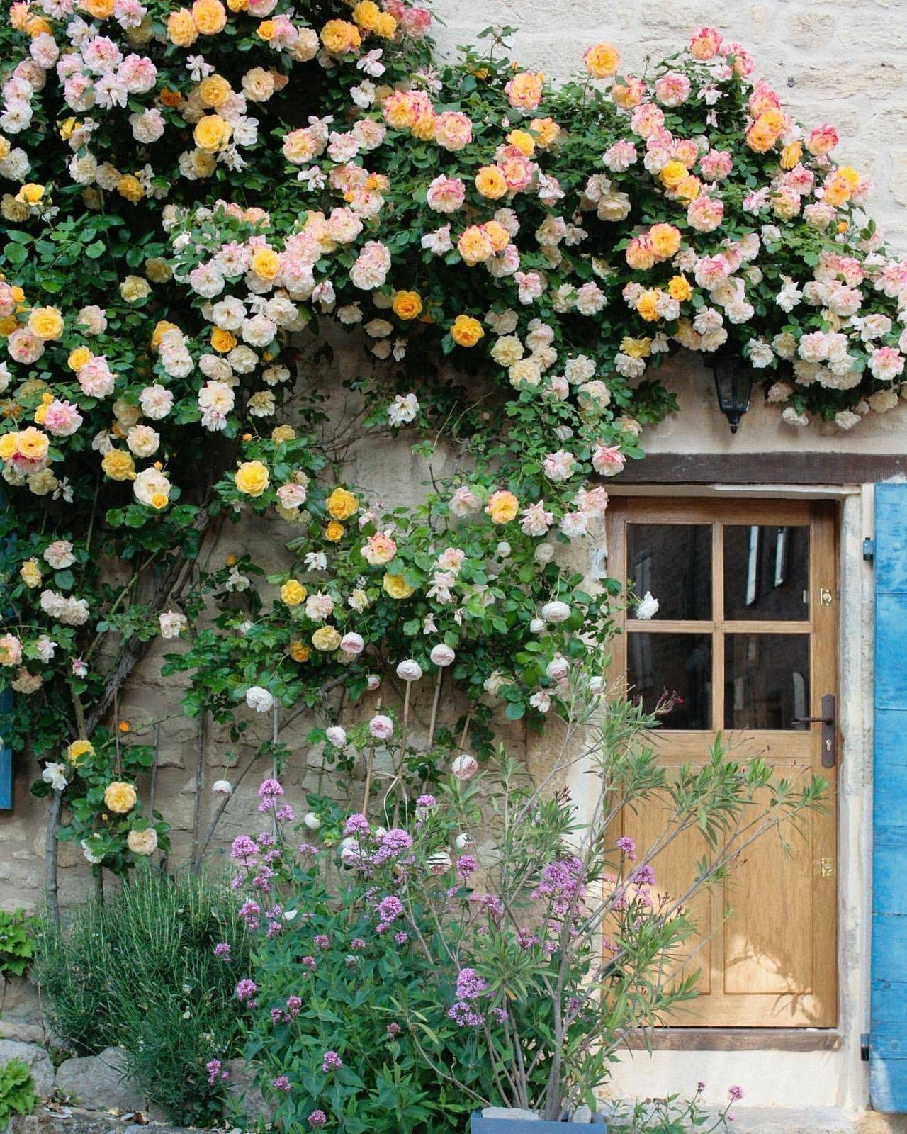 Beautiful Small Cottage Garden Design Ideas