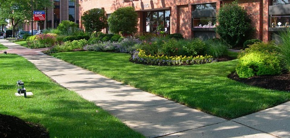 Landscaping Commercial Landscaping