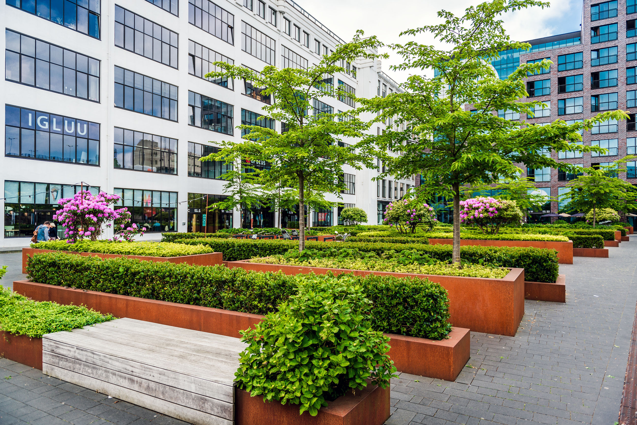 Professional Commercial Landscaping Design