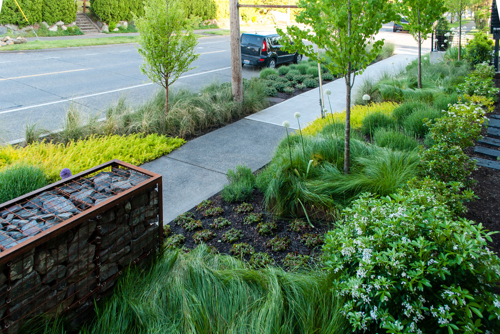 The Best Landscape Design Ideas