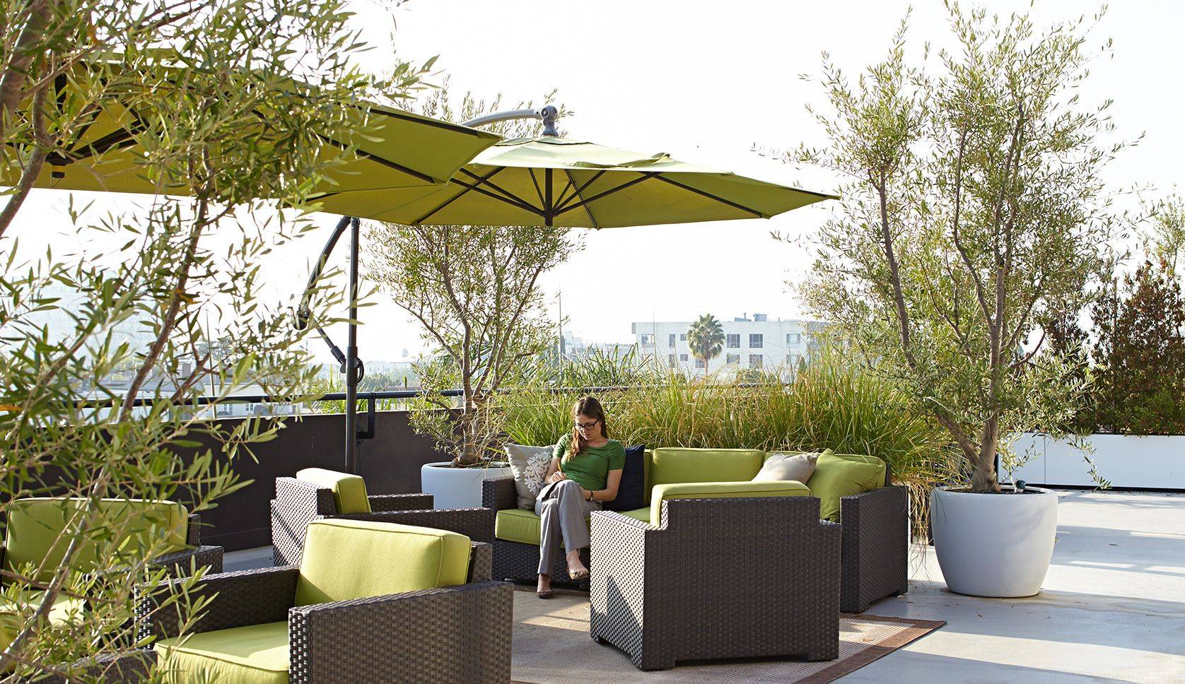 Office Roof Garden Designer Paul Martin Roof Garden