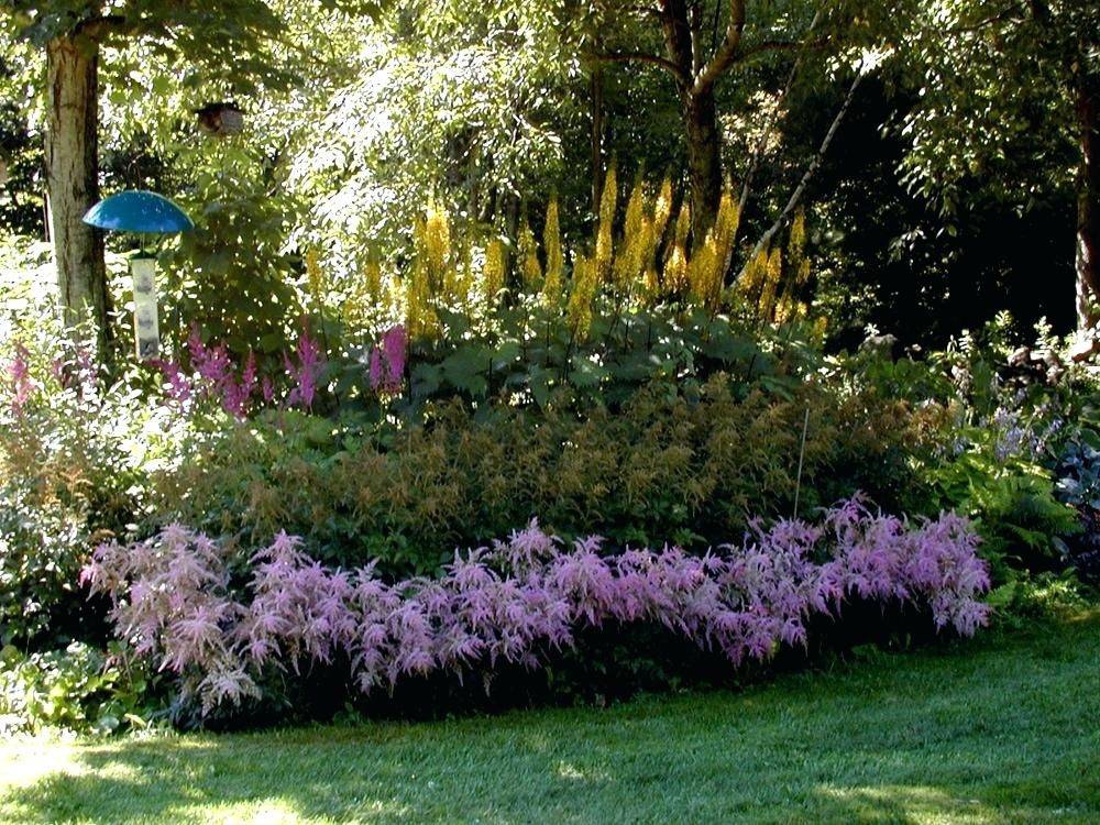 Flower Garden Landscaping Flower Landscape Idea Shade Garden Design