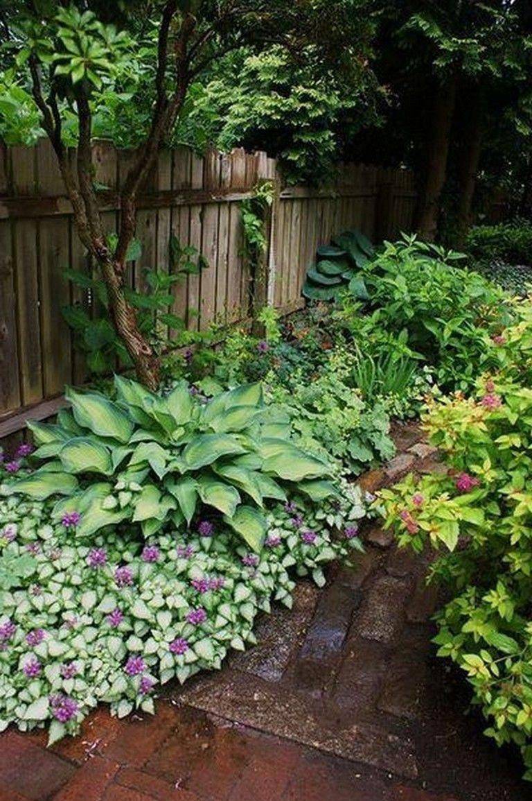Small Space Shade Garden