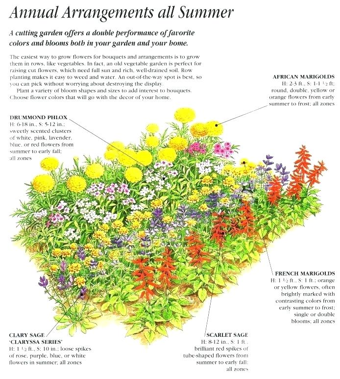 Flower Garden Plans