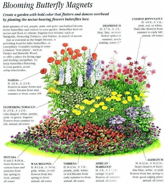Gardendesignlayout Flower Garden Plans