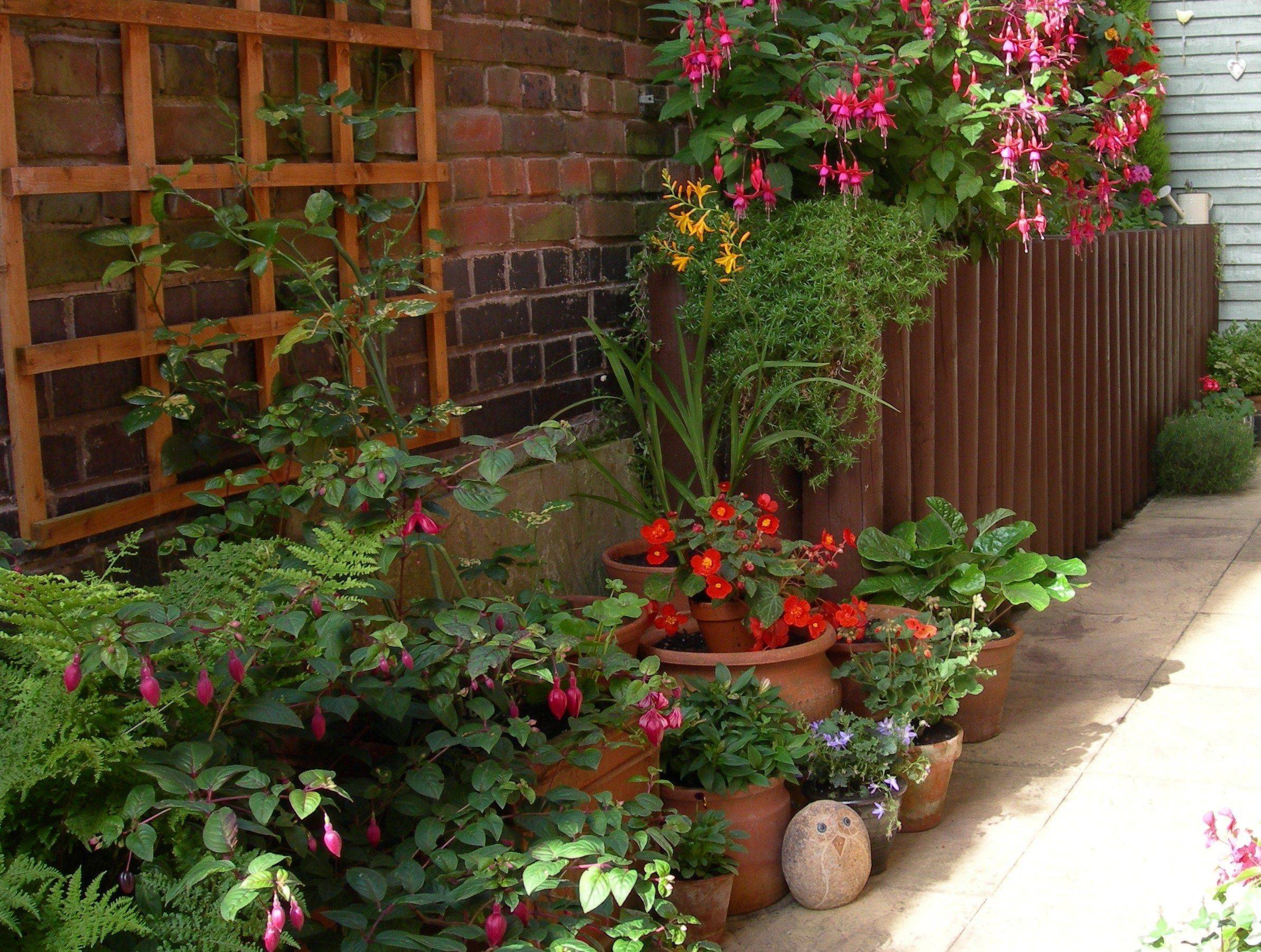 You Stunning Side Yard Garden Design Ideas
