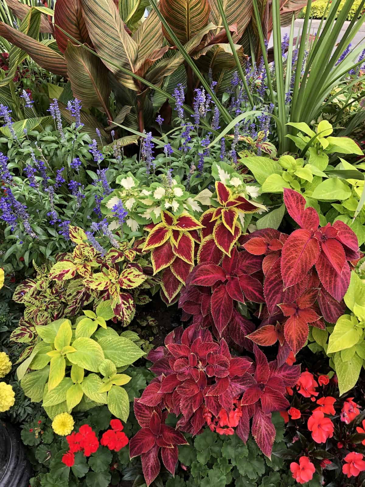 Unique Garden Fence Ideas