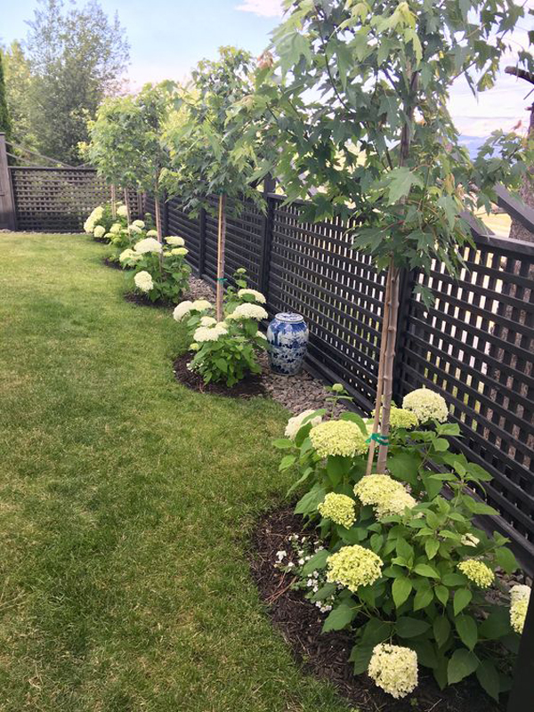 Fantastic Container Gardening Ideas