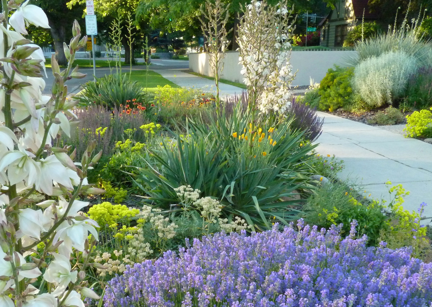 Yearround Color Hgtv