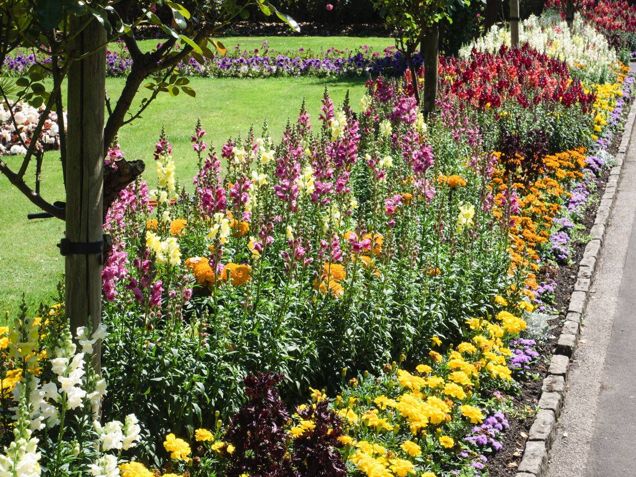 Beautiful Flowerbeds