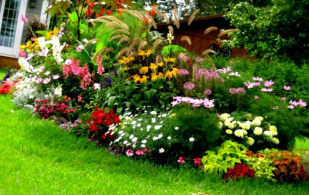 Flower Garden Layout Design Ideas