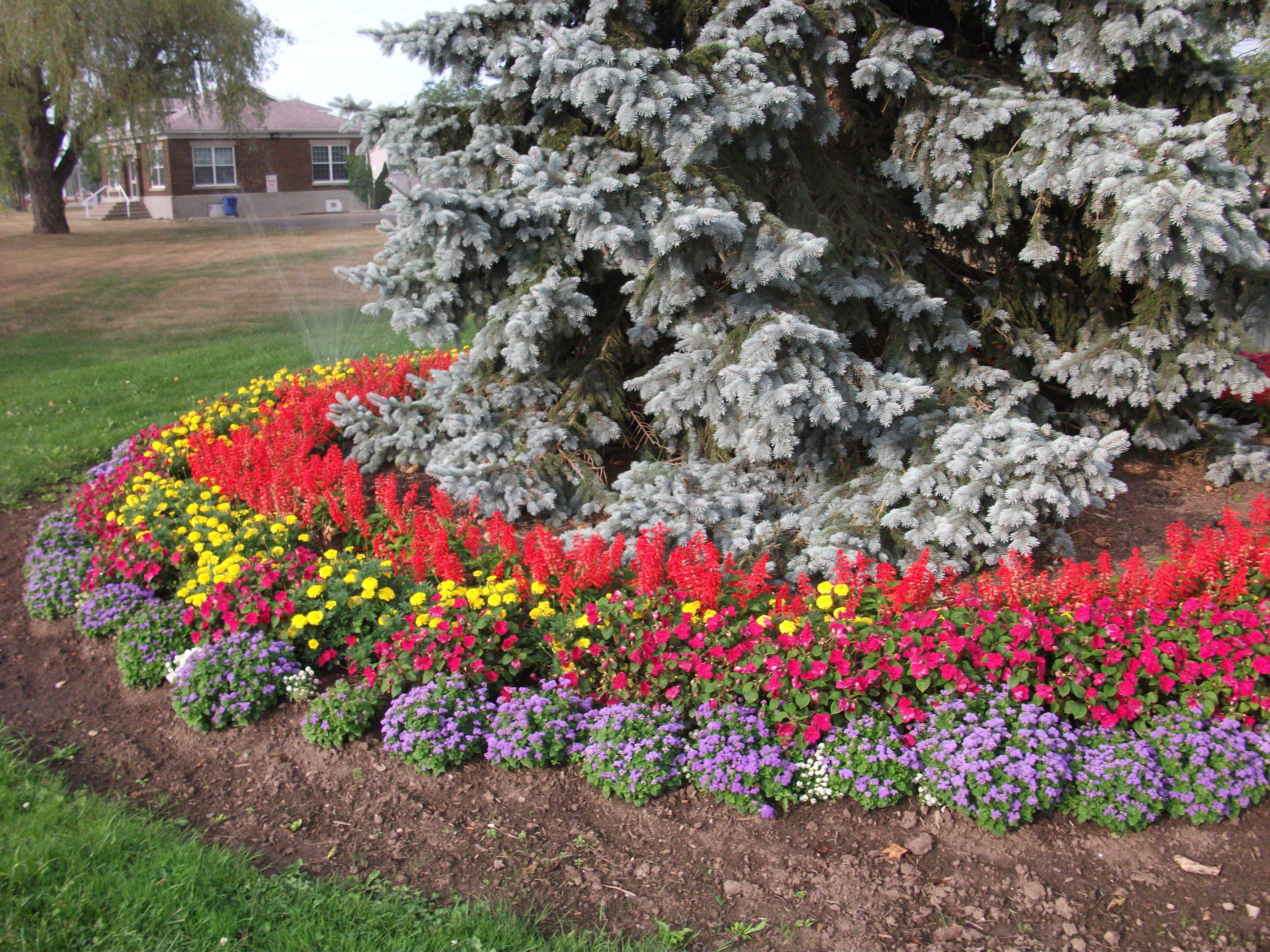 Front Yard Annual Flower Bed Designs
