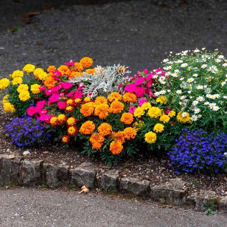 Summer Flower Garden Border Ideas