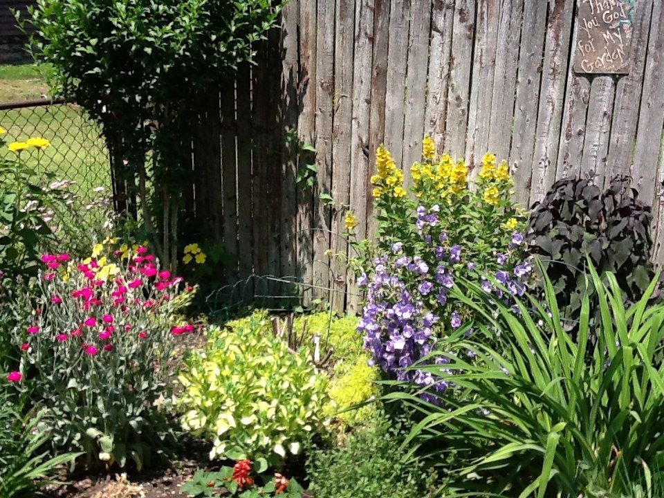 A Corner Flower Bed