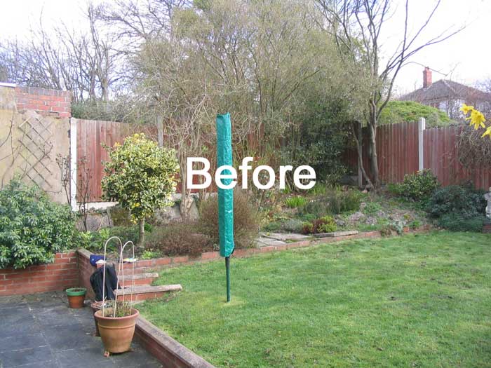 A Sunny Georgetown Corner Landscape Design