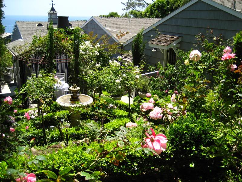Honeycore French Cottage Garden