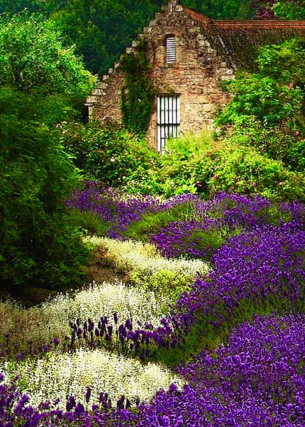 The House Cottage Garden