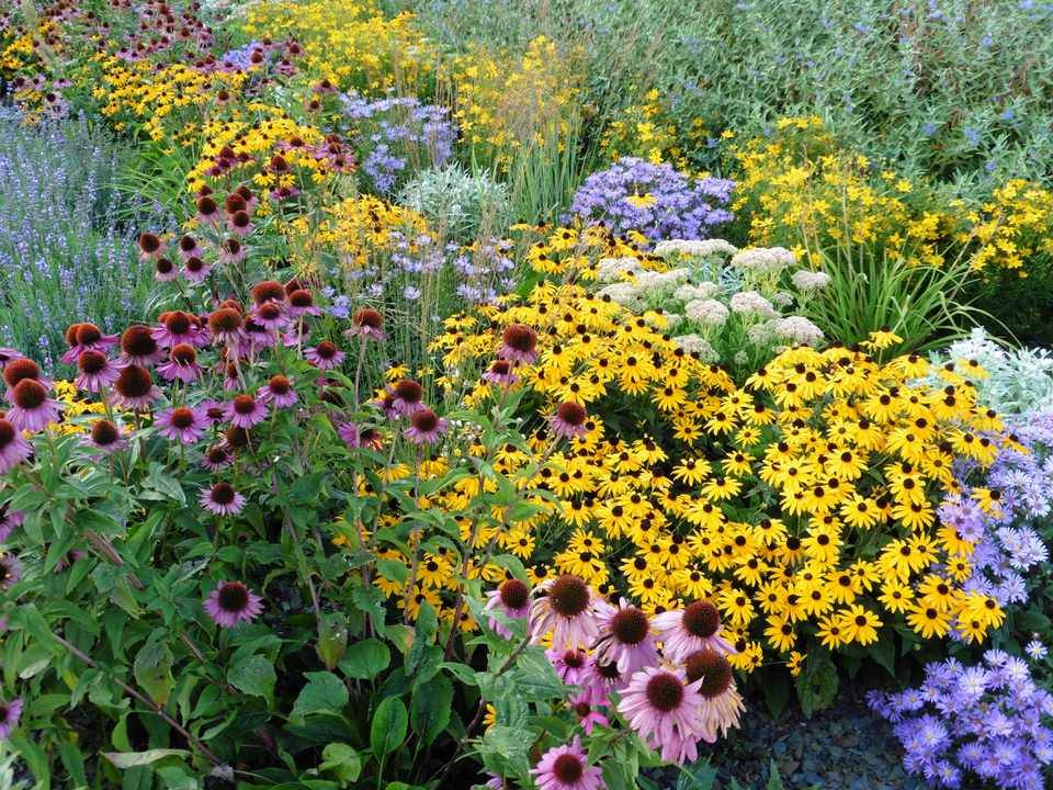 Perennial Garden Design Ideas