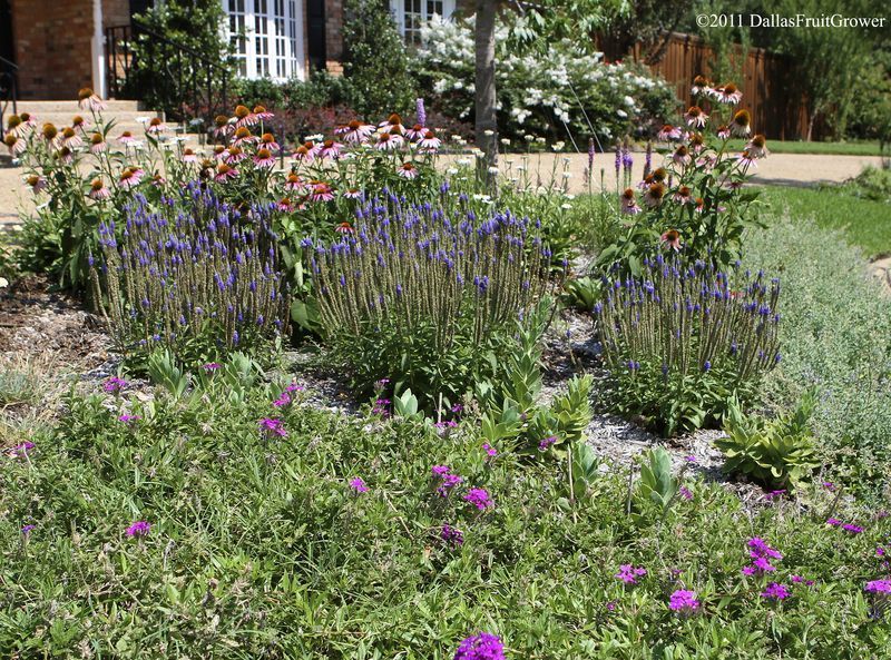 Your Garden Flowerbeds