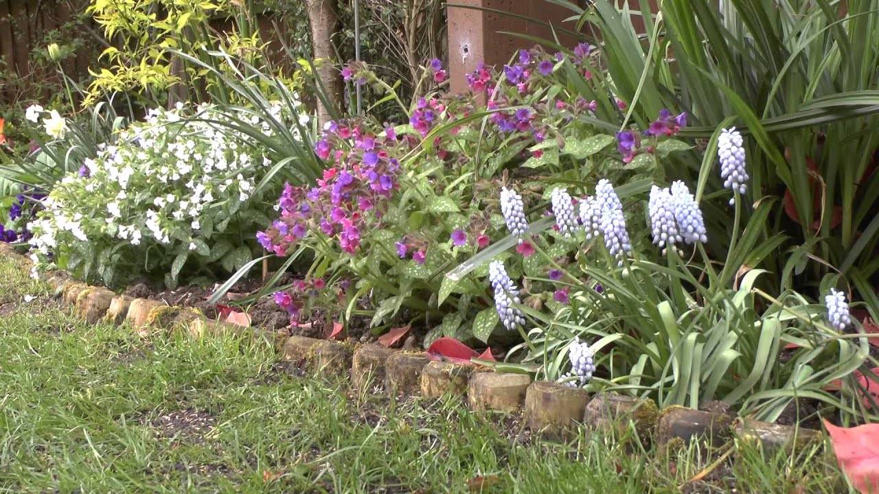 This Spring Cottage Garden