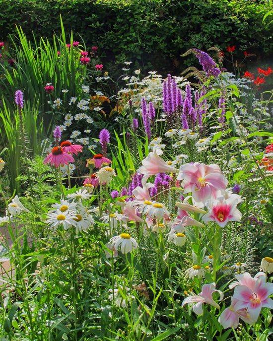 Creative Spring Flowers Ideas