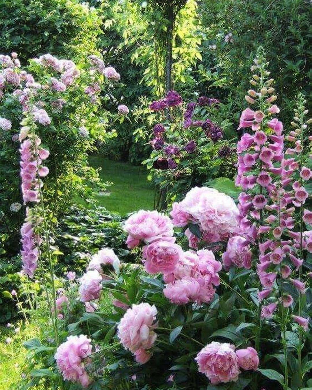 A Better Spring Flower Garden