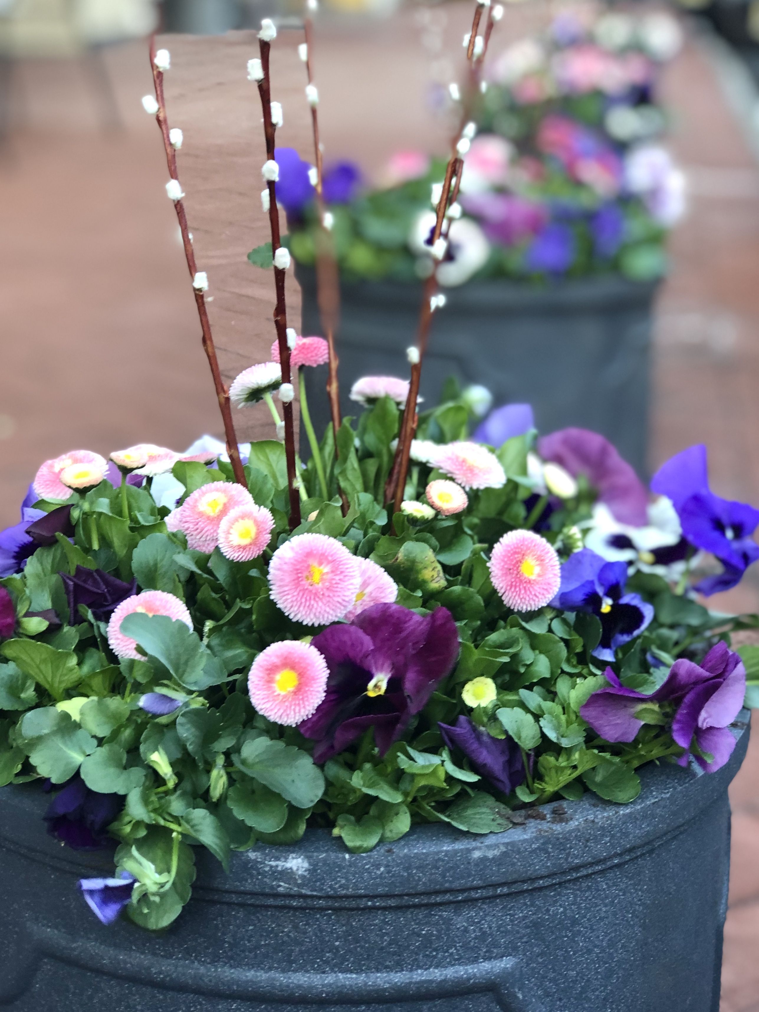 Simple Fresh And Beautiful Flower Garden Design Ideas