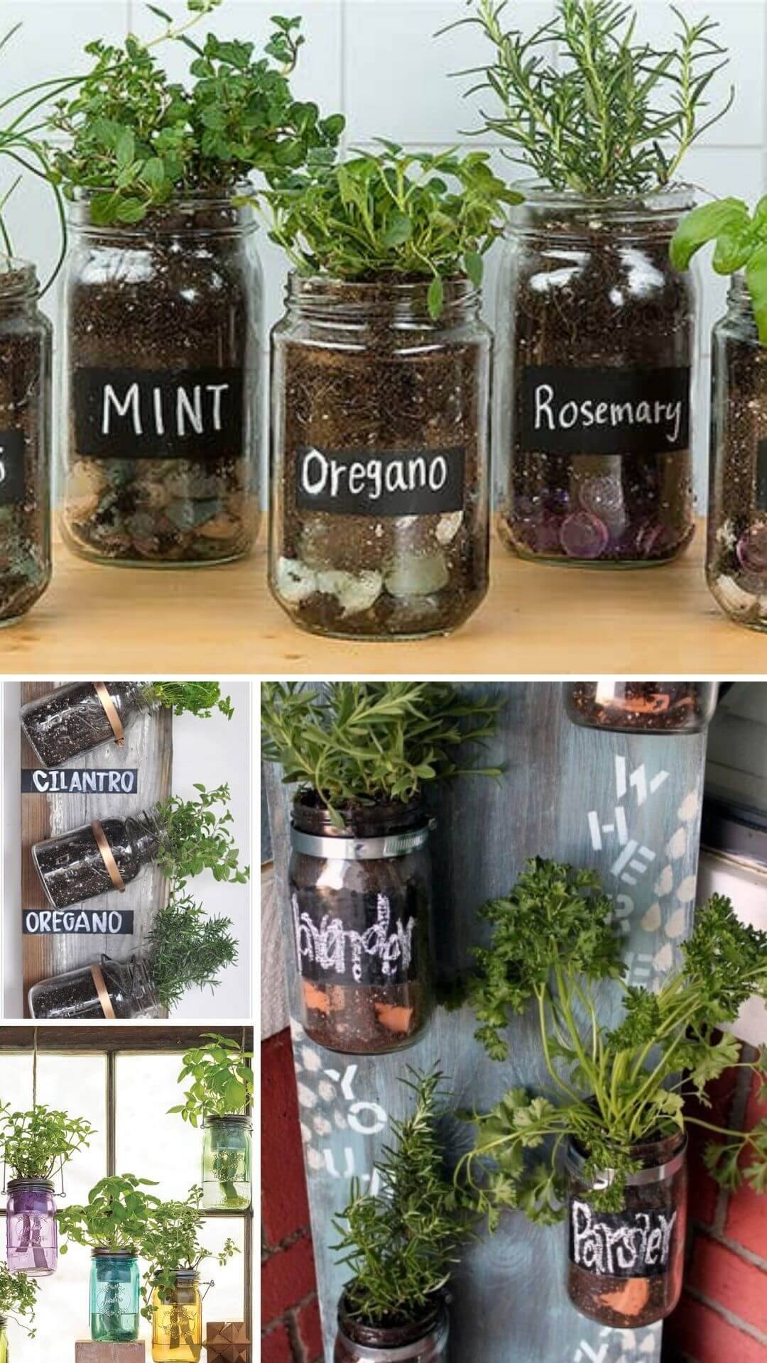 New Planter Ideas