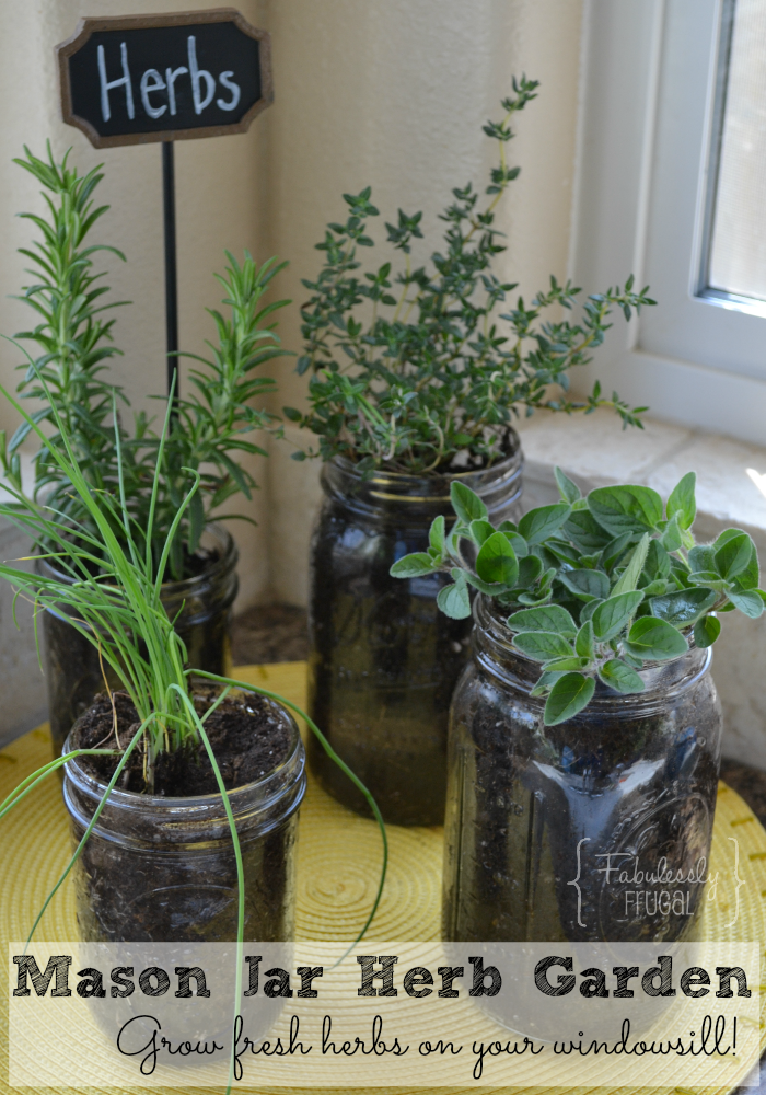 Diy Mason Jar Herb Garden Plant Instructions