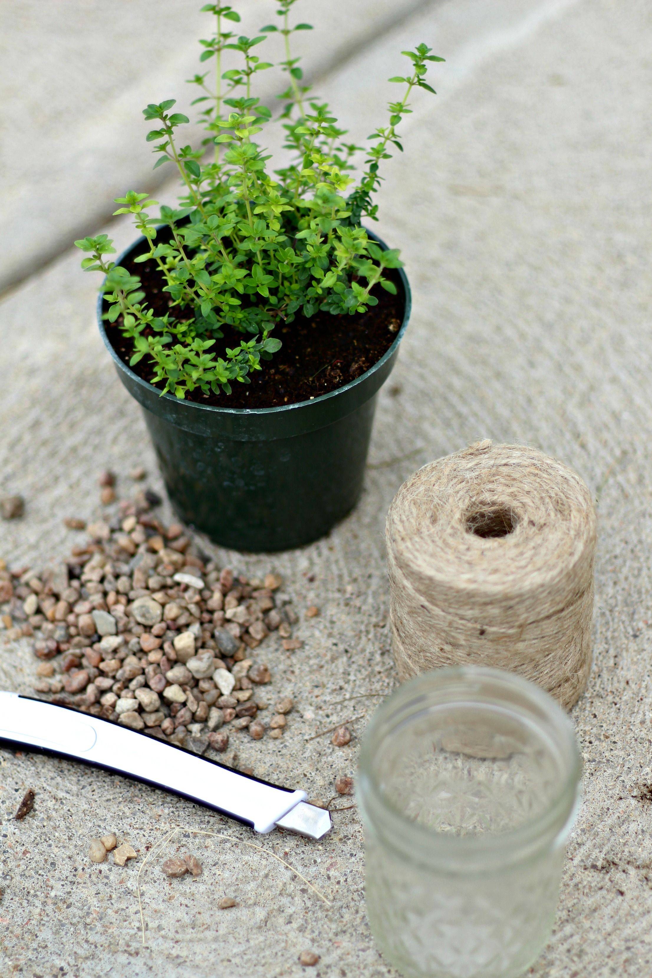 19 Mason Jar Herb Garden Ideas You Must Look SharonSable