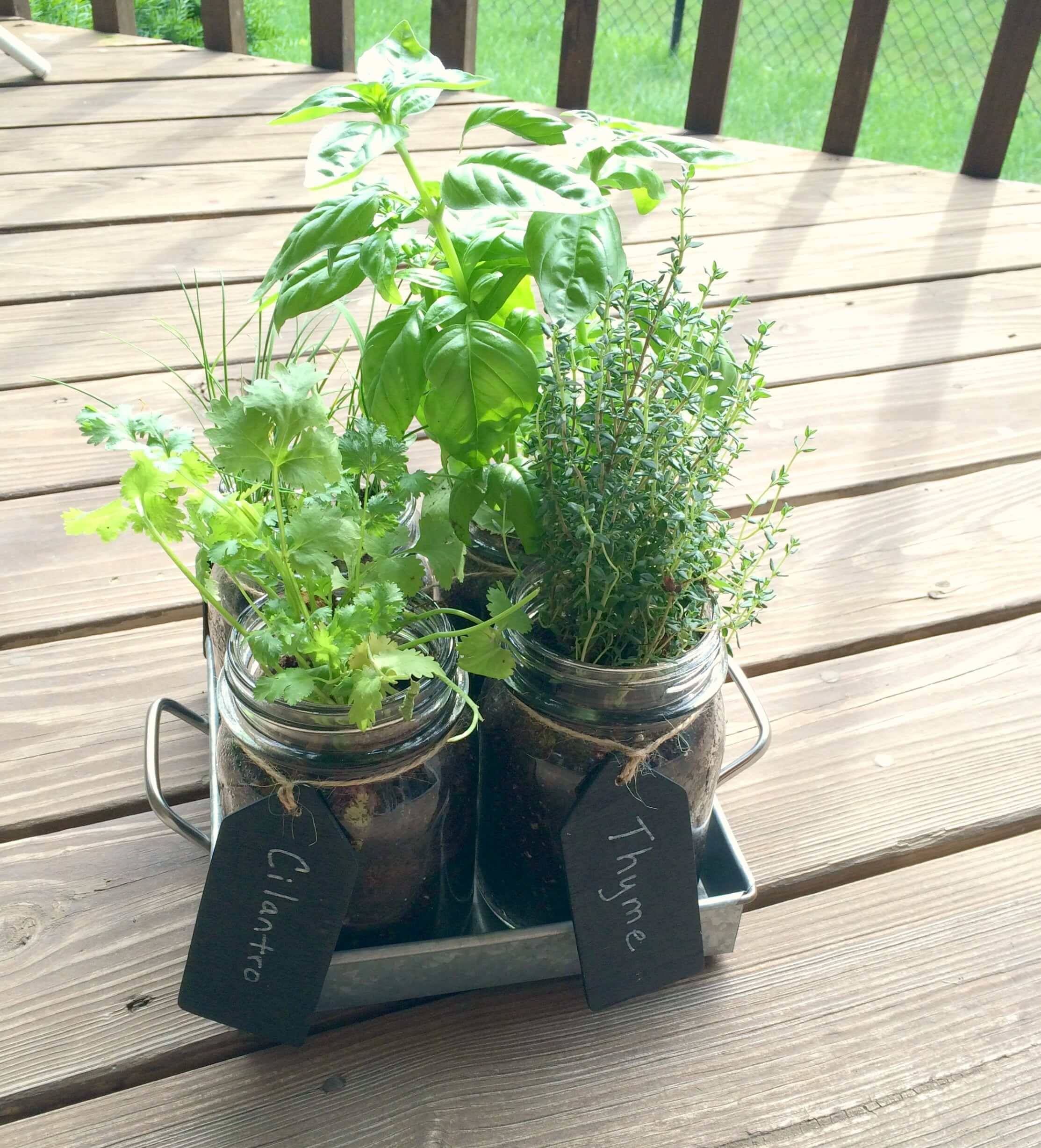 19 Mason Jar Herb Garden Ideas You Must Look SharonSable