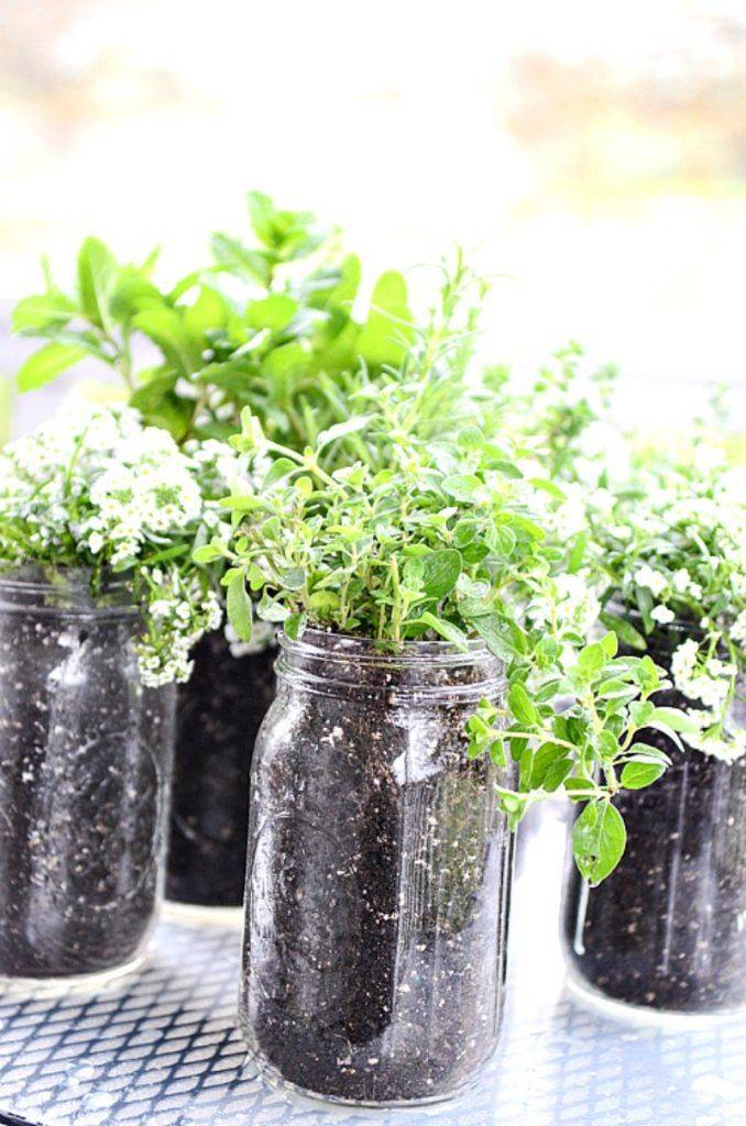 Larissa Another Day Mason Jar Herb Garden