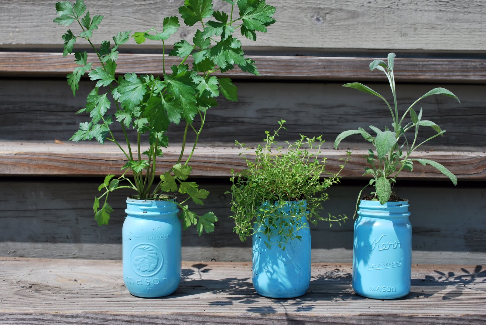 Mason Jar Herb Garden Tips