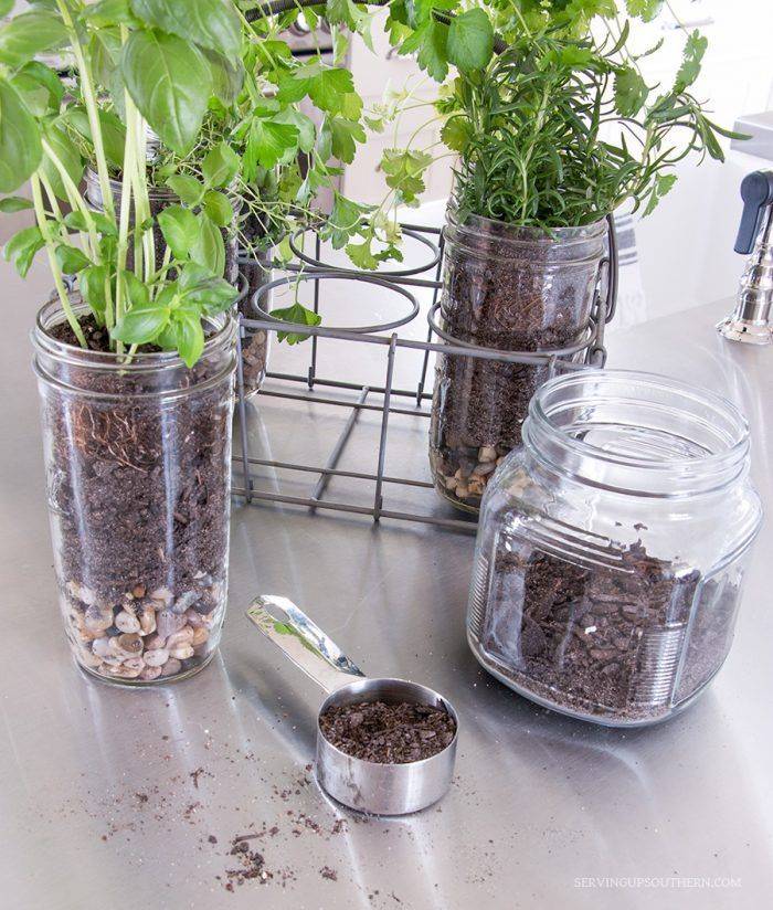 Mason Jar Herb Garden Tips