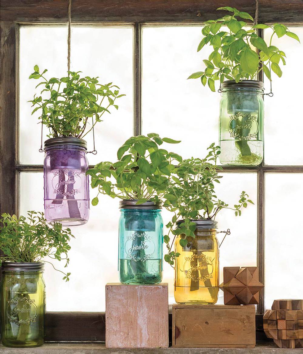Mason Jar Indoor Herb Garden