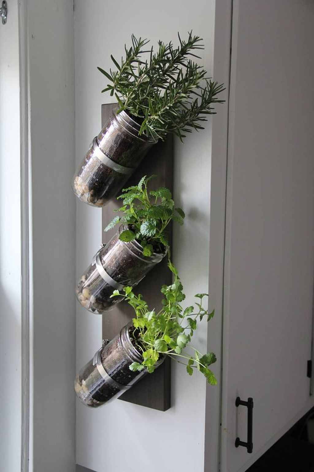 New Planter Ideas