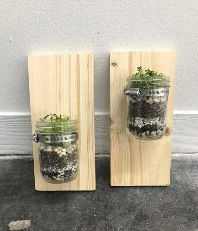 Marvelous Mason Jar Herb Gardens Page