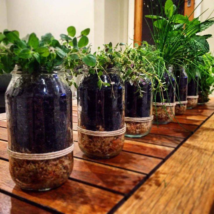 Creative Diy Indoor Herb Garden Ideas