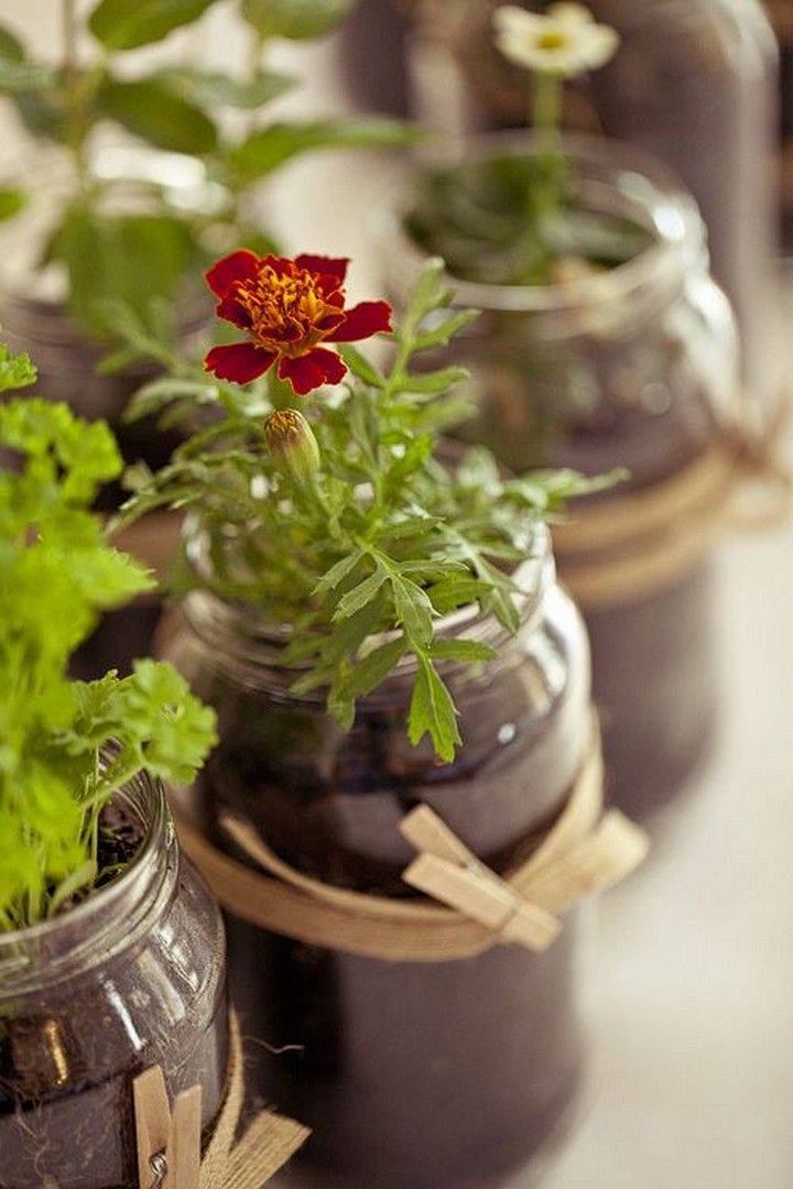 Creative Diy Indoor Herb Garden Ideas